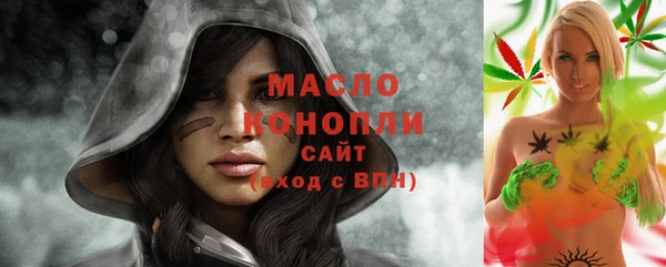 гидра Горняк