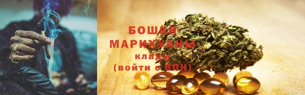гидра Горняк
