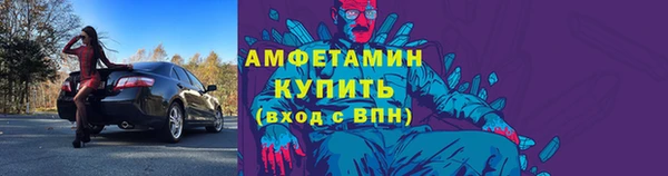 гидра Горняк