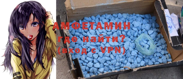 гидра Горняк
