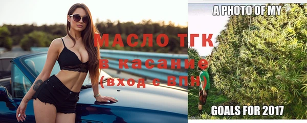 гидра Горняк