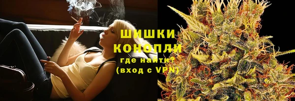 гидра Горняк