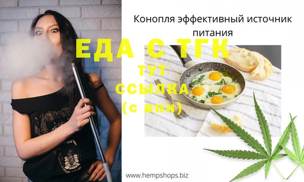 гидра Горняк