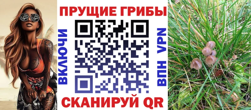 Галлюциногенные грибы Psilocybine cubensis  Купить  Плавск 